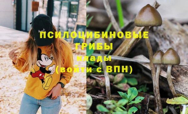 spice Беломорск