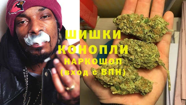 ПСИЛОЦИБИНОВЫЕ ГРИБЫ Белоозёрский