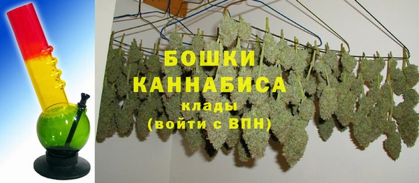 ПСИЛОЦИБИНОВЫЕ ГРИБЫ Белоозёрский