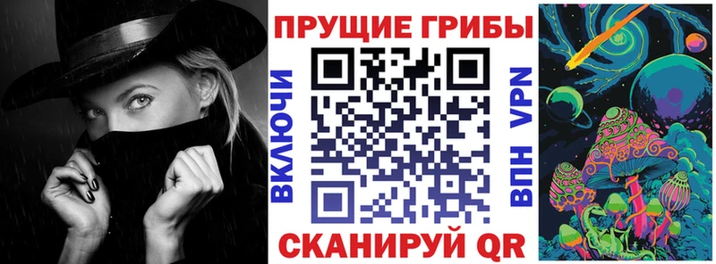 Псилоцибиновые грибы Psilocybine cubensis  Чита 